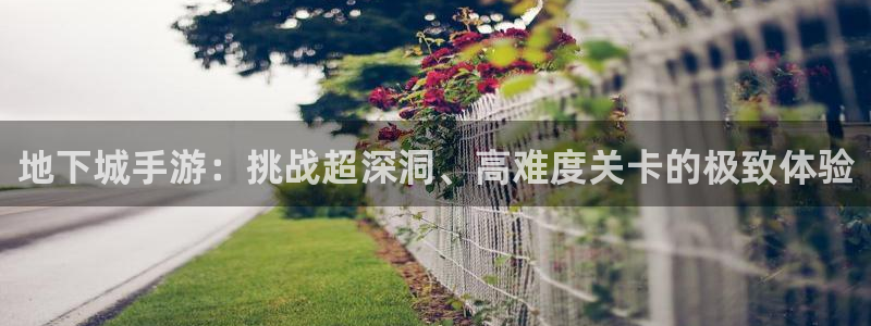恩佐娱乐注册：地下城手游：挑战超深洞、高难度关卡的极致体验