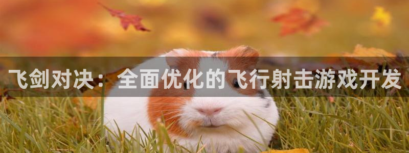 恩佐娱乐手机登录：飞剑对决：全面优化的飞行射击游戏开发