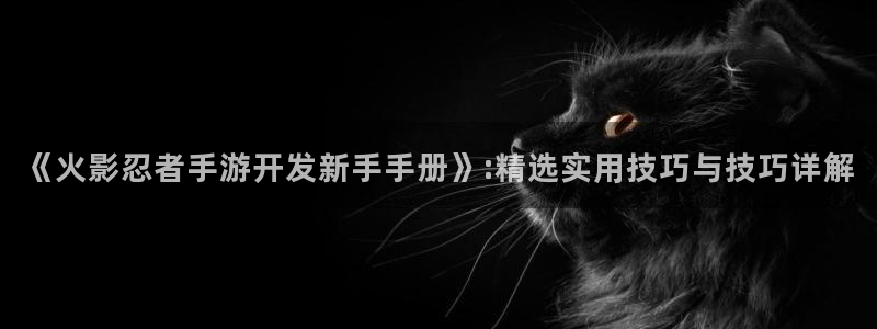 恩佐娱乐：《火影忍者手游开发新手手册》:精选实用技巧与技巧详