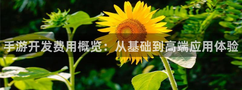 恩佐娱乐1：手游开发费用概览：从基础到高端应用体验