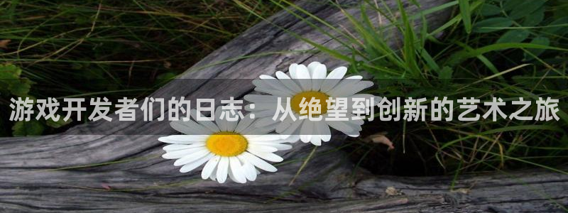 恩佐娱乐登陆：游戏开发者们的日志：从绝望到创新的艺术之旅