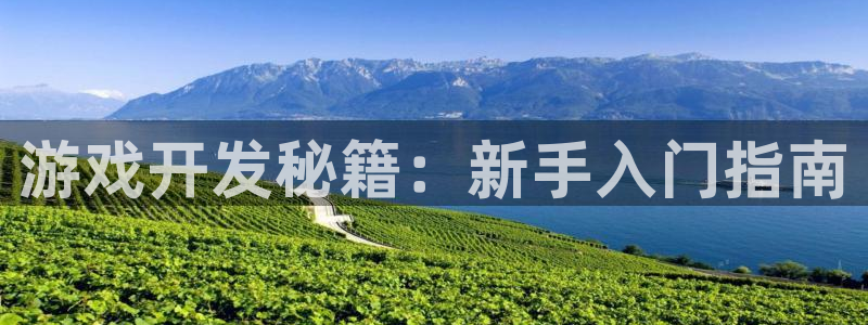 恩佐娱乐登陆：游戏开发秘籍：新手入门指南