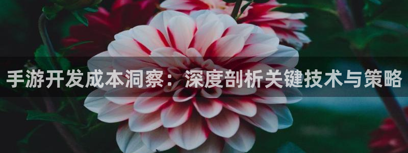 恩佐娱乐手机版最新功能介绍大全：手游开发成本洞察：深度剖析关