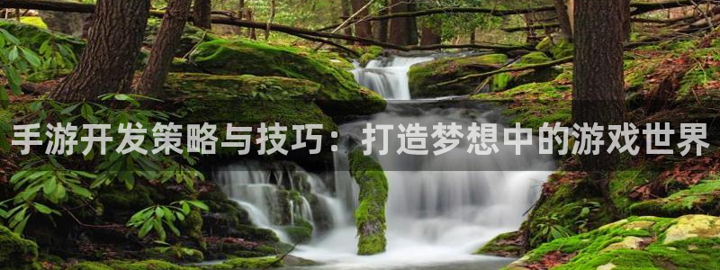 恩佐娱乐平台正规吗安全吗：手游开发策略与技巧：打造梦想中的游