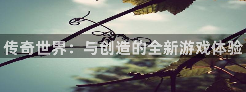 恩佐娱乐平台正规吗安全吗：传奇世界：与创造的全新游戏体验