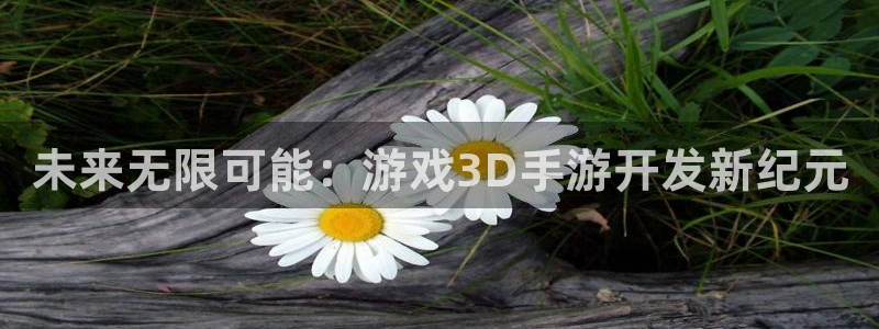 恩佐娱乐：未来无限可能：游戏3D手游开发新纪元